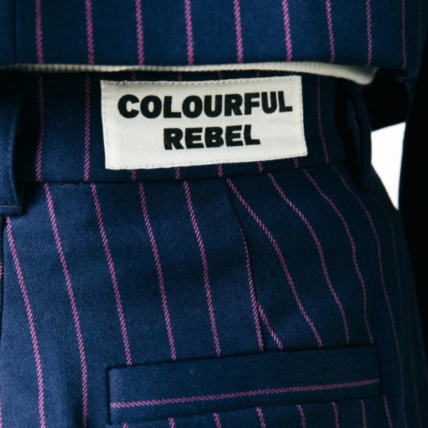 COLOURFUL REBEL PANTS RUS PINSTRIPE PINTUCK STRAIGHT DARK BLUE - Afbeelding 4